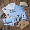 Past Letters - May- African Penguin
