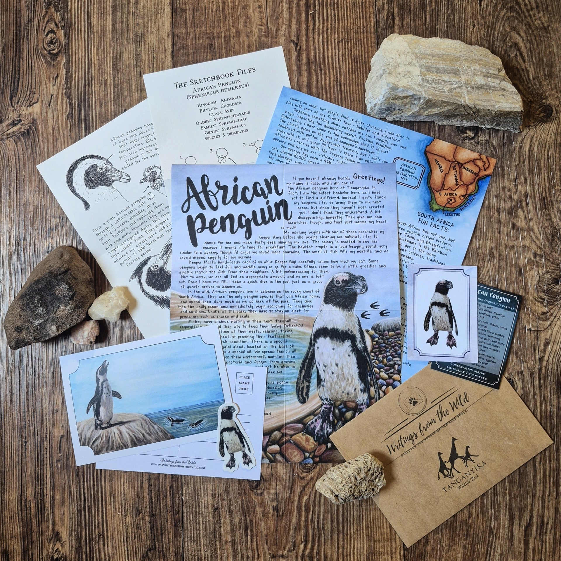 Past Letters - May- African Penguin