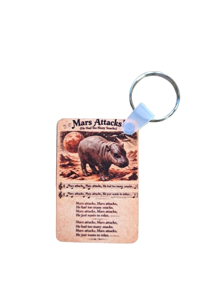 Mars Keychains- 5 Styles