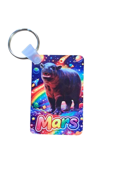 Mars Keychains- 5 Styles
