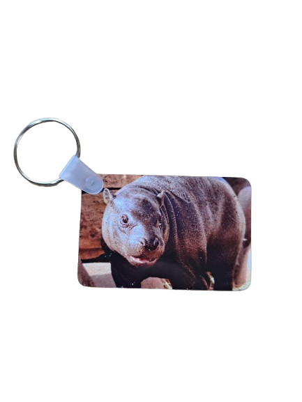 Mars Keychains- 5 Styles