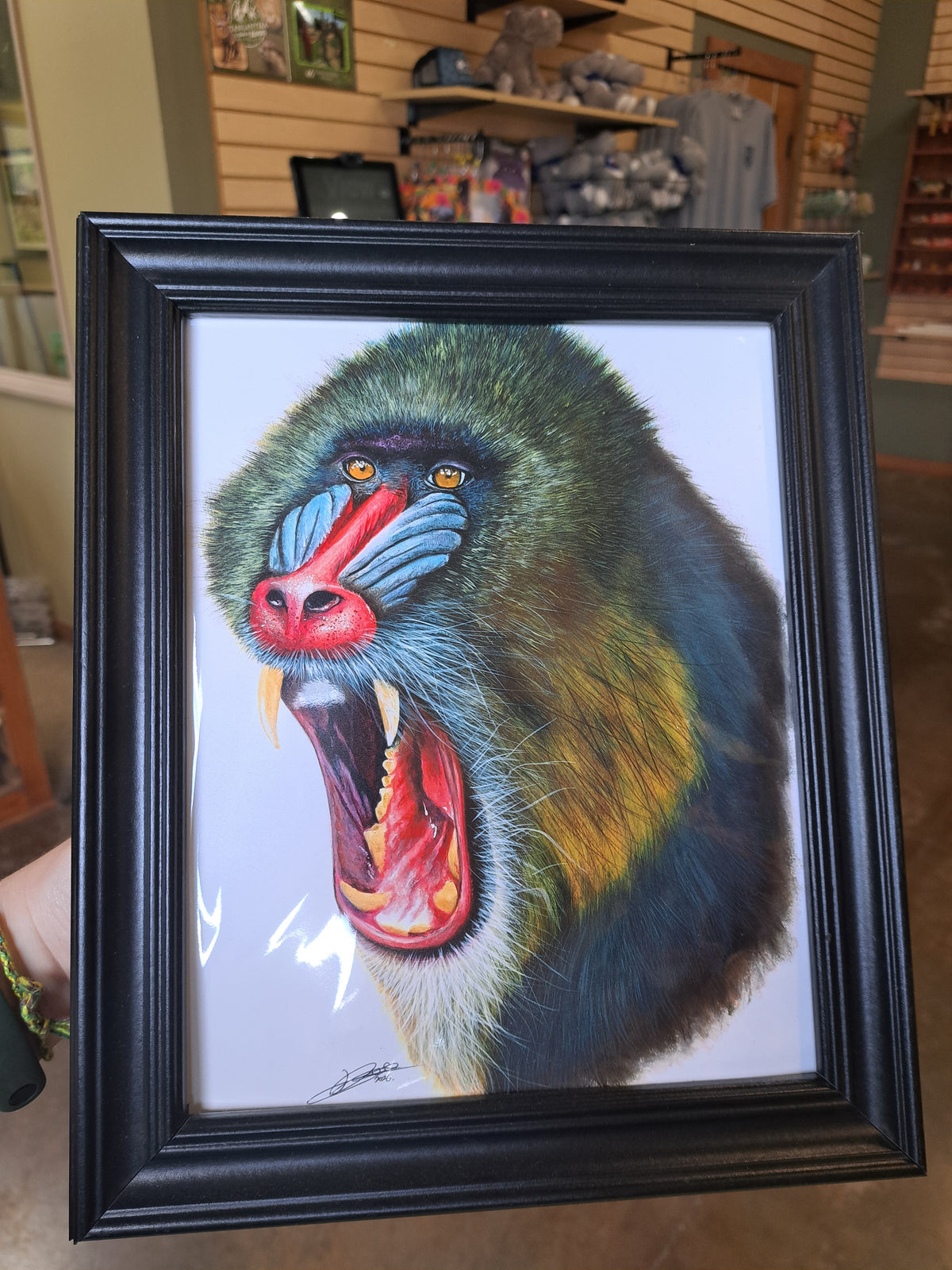 Mandrill Portrait by Kyle Duca – Digital Download