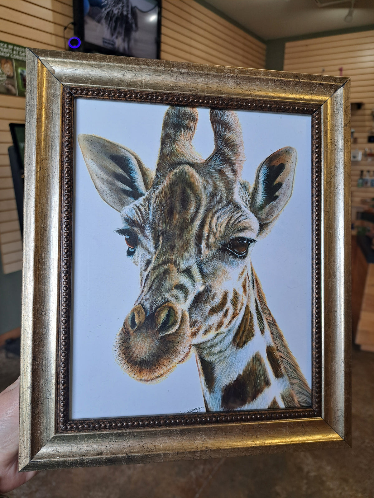 Giraffe Portrait by Kyle Duca – Digital Download