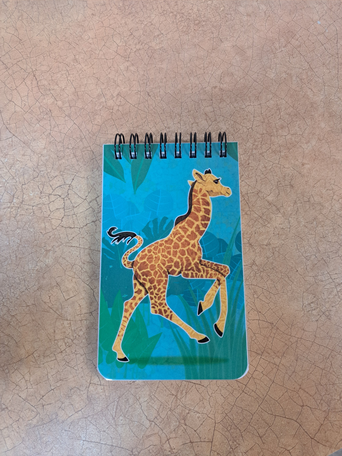 Milani Notebook