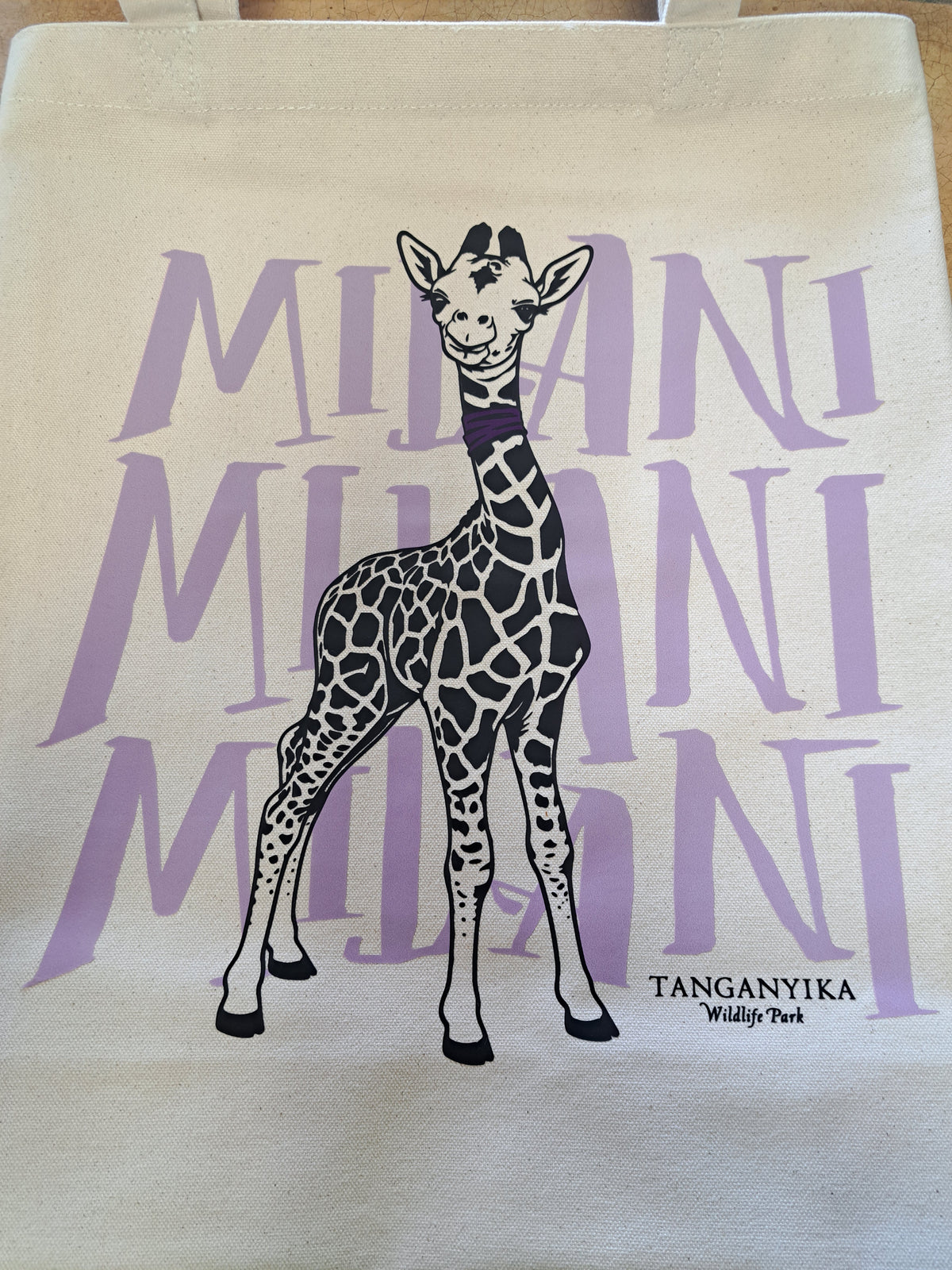 Milani Oversized Tote