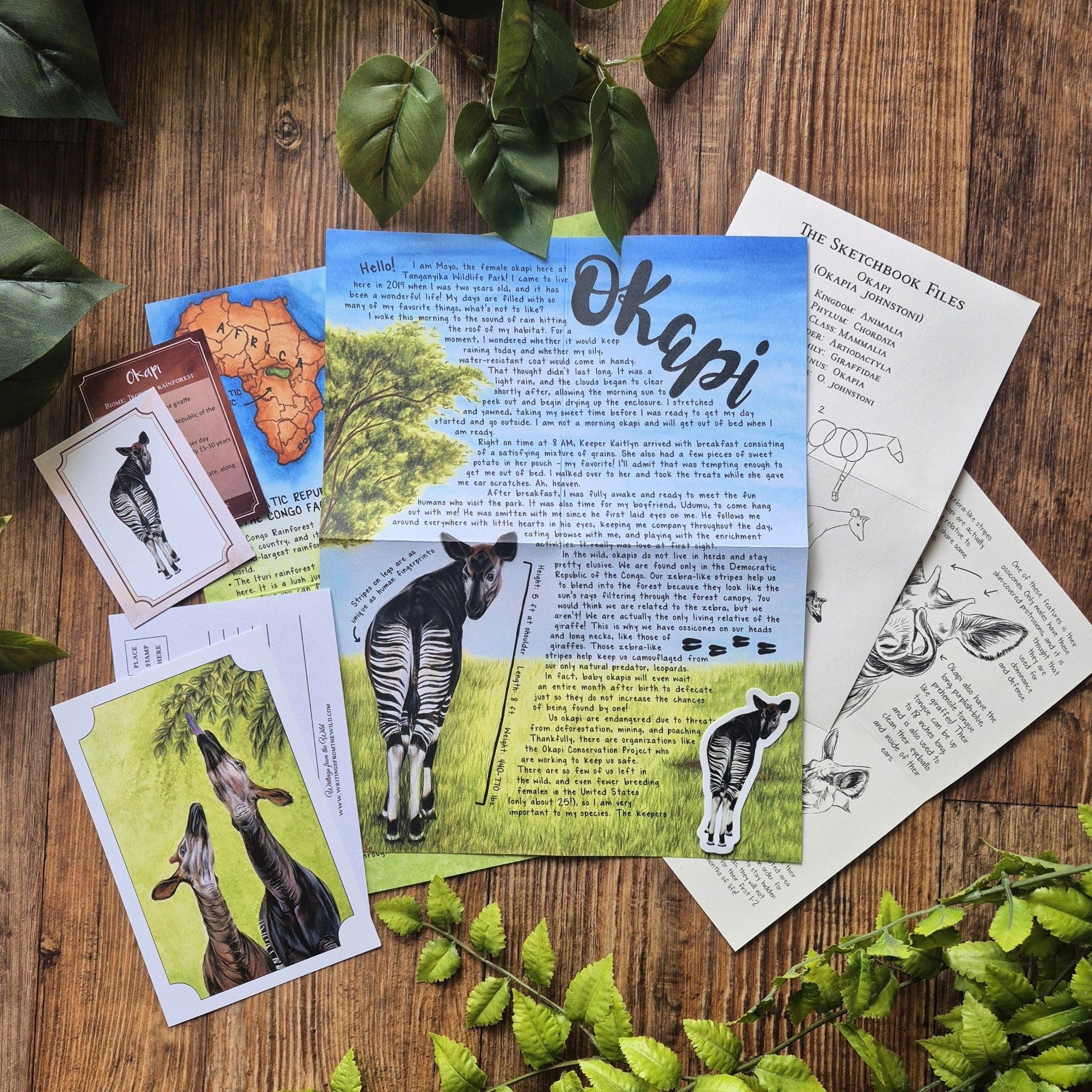 Past Letter- June- Okapi