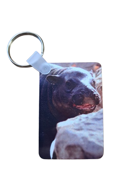 Mars Keychains- 5 Styles