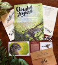Past Letters- August- Clouded Leopard