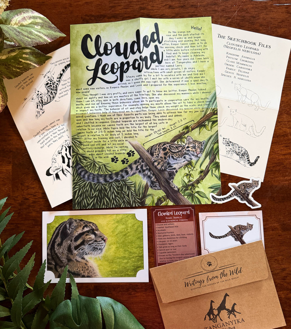 Past Letters- August- Clouded Leopard