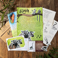Past Letters- July- Ring-tailed Lemur