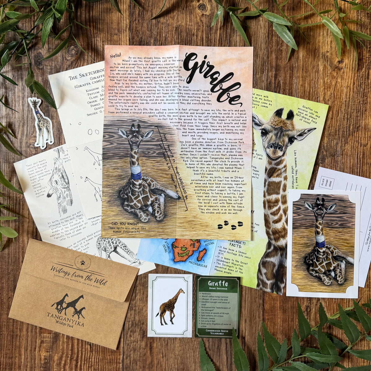 Past Letters- September- Milani