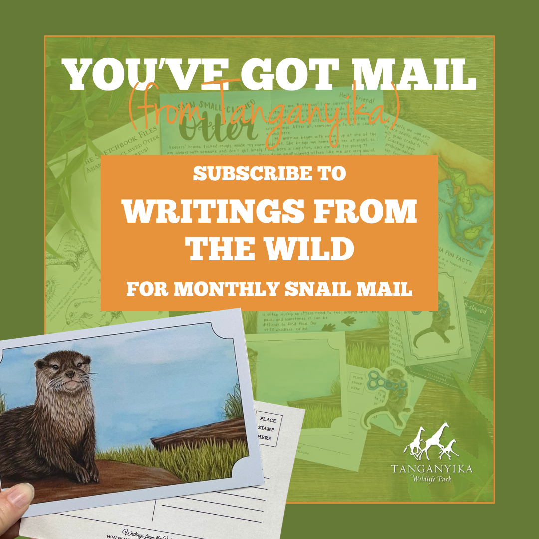 Tanganyika and Writings From the Wild Mail Club Collab - SUBSCRIPTION