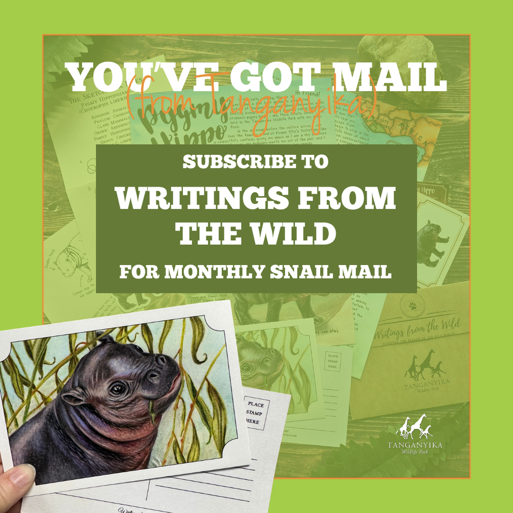 Tanganyika and Writings From the Wild Mail Club Collab - SUBSCRIPTION