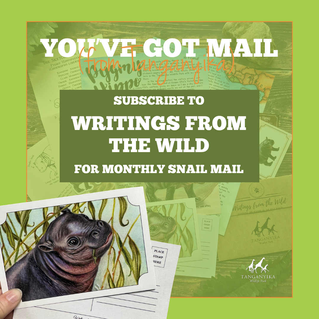 Tanganyika and Writings From the Wild Mail Club Collab - SUBSCRIPTION