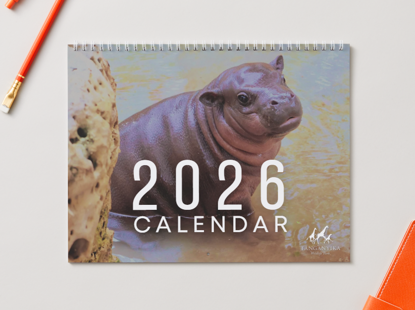 Mars 2026 Calendar